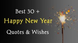 Read more about the article Best 30 + Best Happy New Year Quotes and Wishes
